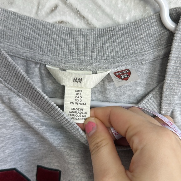 Harvard H&M boxy velvet letter tee - Picture 3 of 5